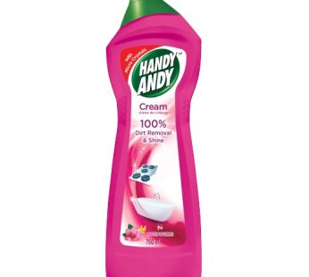 HANDY ANDY 5x750ML – POTPOURRI